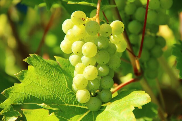 Weinfest